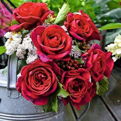 Jubile Papa Meilland ® Hybrid Tea Roses garden rose bushes potted or bare root plants