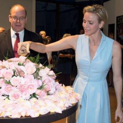 Princesse Charlene de Monaco ® Hybrid Tea Roses garden rose bushes potted or bare root plants
