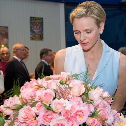 Princesse Charlene de Monaco ® Hybrid Tea Roses garden rose bushes potted or bare root plants