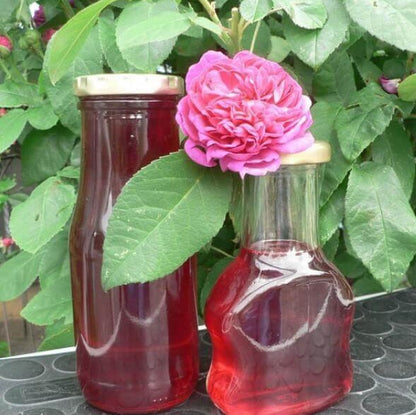 Rose de Rescht - rose for jam and syrup ®