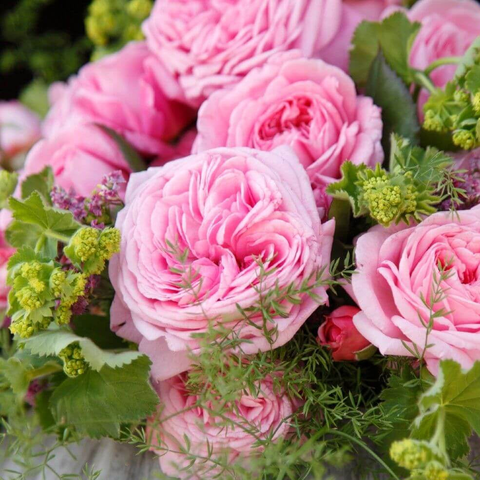 Rosengrafin Marie Henriette