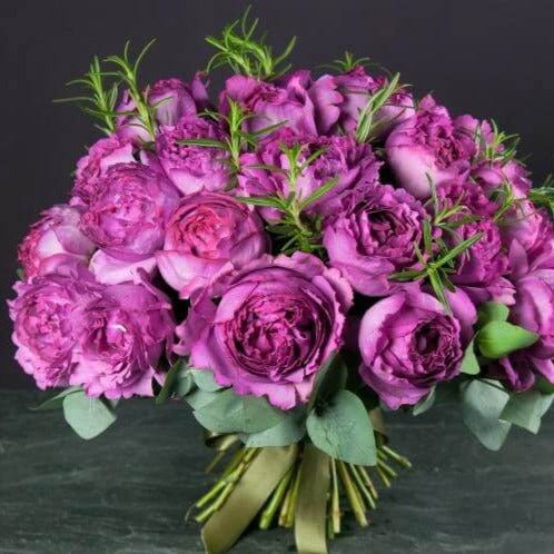 Yves Piaget ®' Hybrid Tea Roses garden rose bushes potted or bare root plants